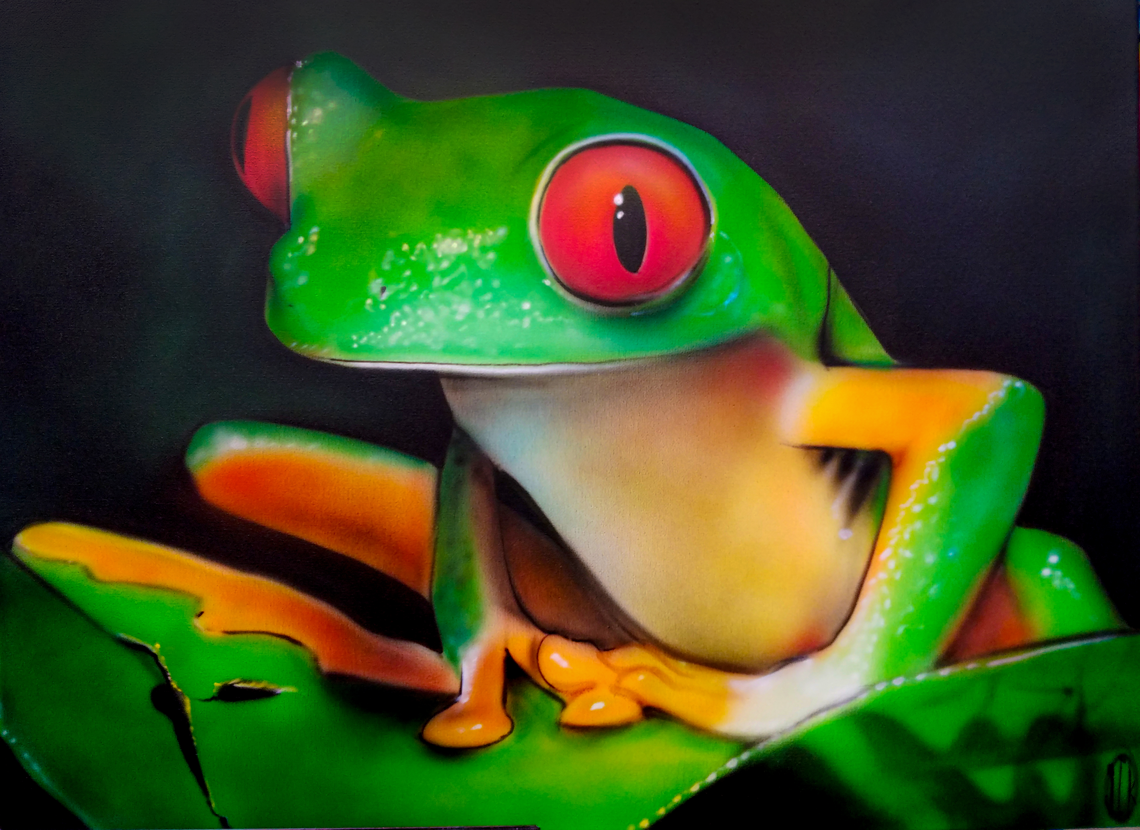 tree frog on canvas airbrushed